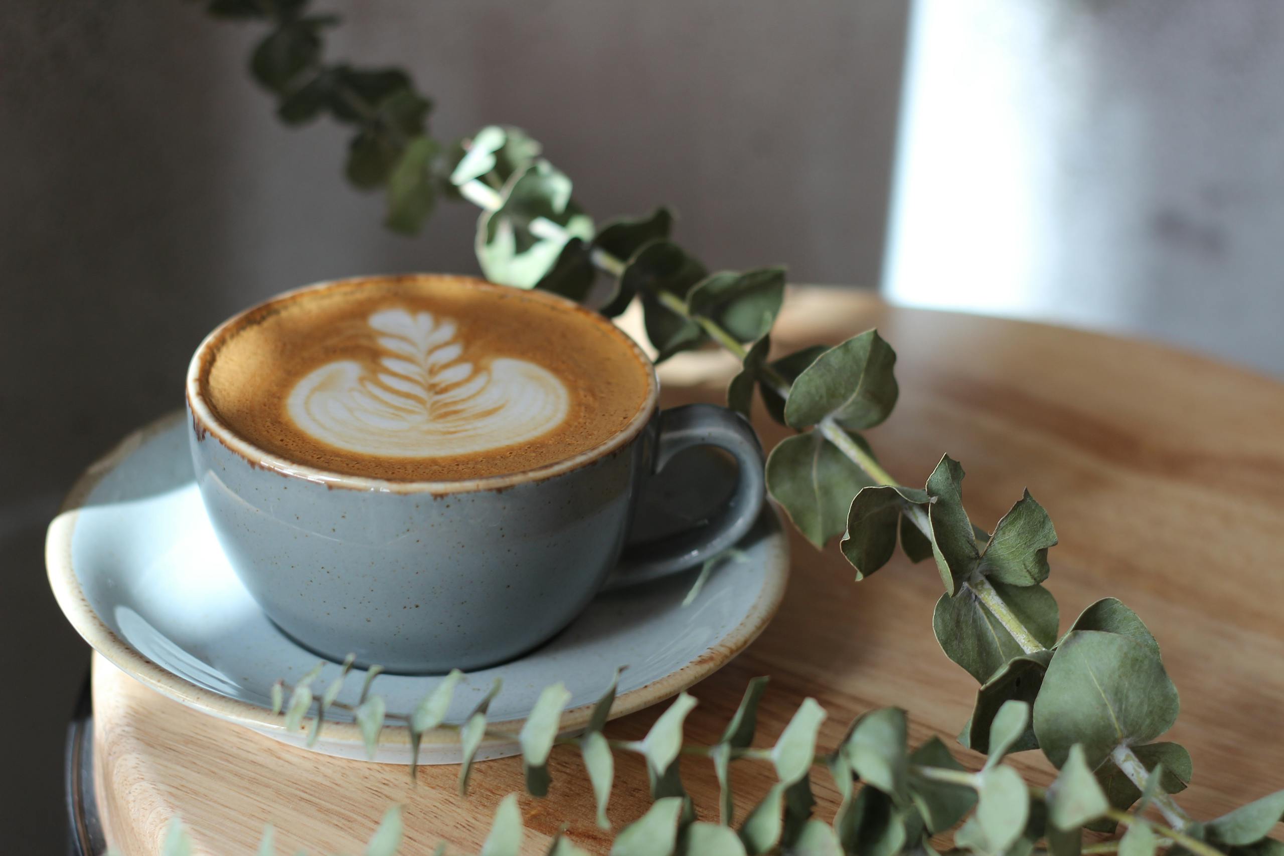 Cup of cappuccino with latte art and eucalyptus on a wooden table.